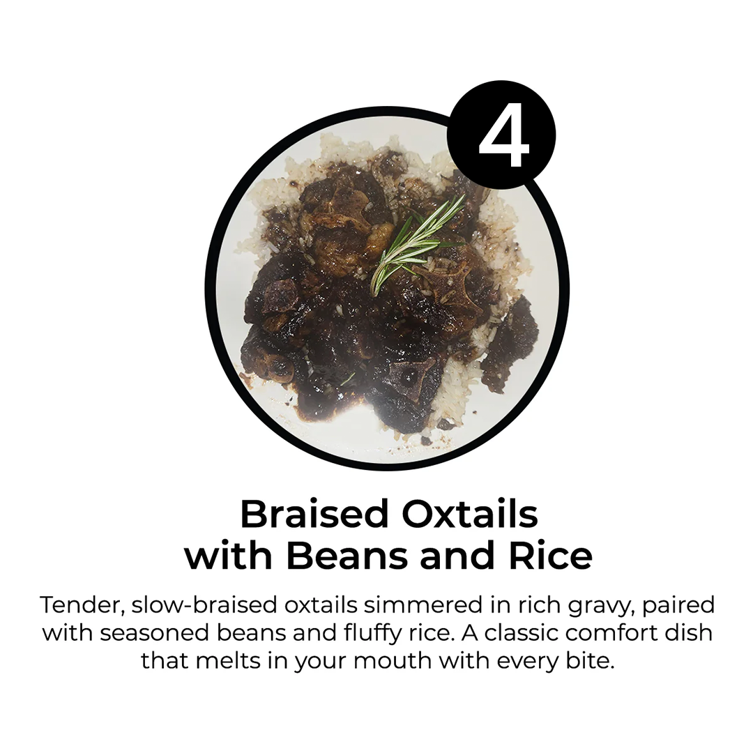 10 MEALS PLAN